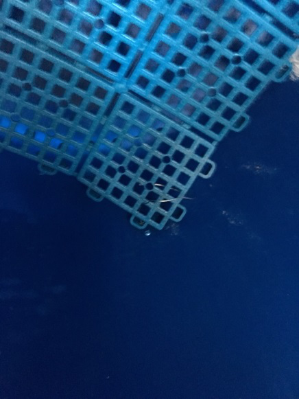 堆肥桶改良製作