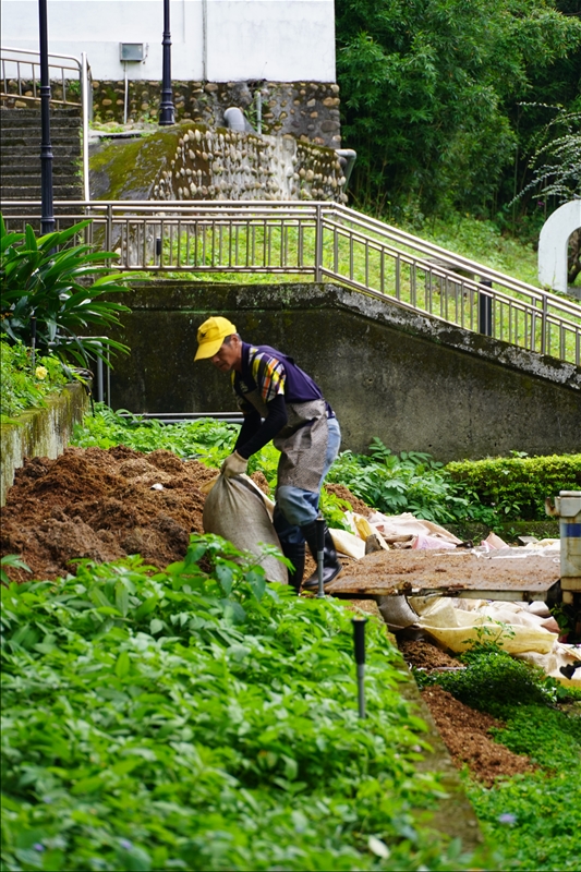 110-2 香草梯田花園｜土壤改造