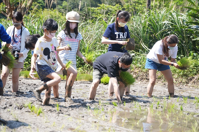 110-2 插秧體驗｜旅學關懷協會
