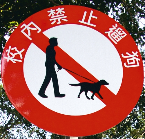 流浪狗禁餵食 違規恐被勸阻