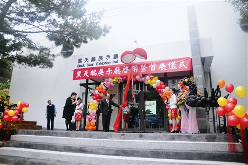 展示廳蛻變為黑天鵝