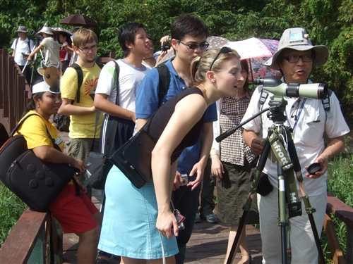 外國學生關渡賞鳥活動