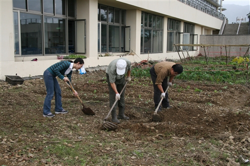 社群網站Facebook的虛擬「開心農場」，帶來了一股種田的風潮，但本校蘭陽校園早已掀起真實版的「種菜」熱潮，師生種得不亦樂乎，既能加菜又能享受種菜樂趣。
