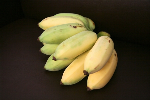 WelcomeProf. Dr. Klaus Dicke, Rector, the University of Jena, Germany