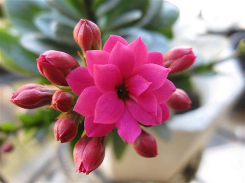 WelcomeProf. Dr. Klaus Dicke, Rector, the University of Jena, Germany