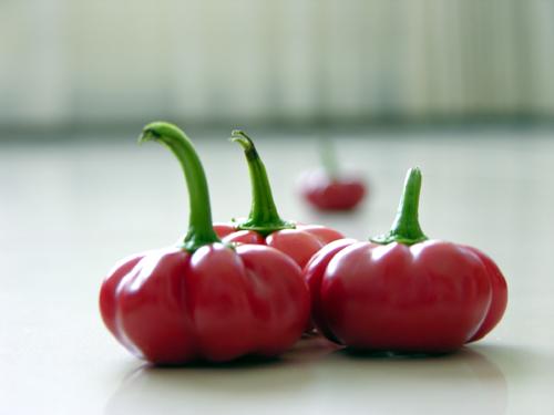 WelcomeProf. Dr. Klaus Dicke, Rector, the University of Jena, Germany