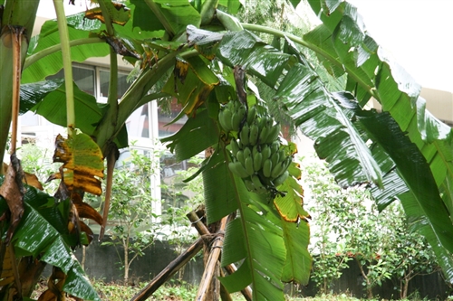 WelcomeProf. Dr. Klaus Dicke, Rector, the University of Jena, Germany