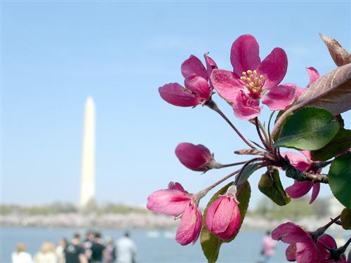 WelcomeProf. Dr. Klaus Dicke, Rector, the University of Jena, Germany