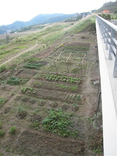 WelcomeProf. Dr. Klaus Dicke, Rector, the University of Jena, Germany