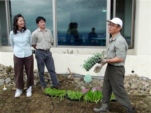 社群網站Facebook的虛擬「開心農場」，帶來了一股種田的風潮，但本校蘭陽校園早已掀起真實版的「種菜」熱潮，師生種得不亦樂乎，既能加菜又能享受種菜樂趣。