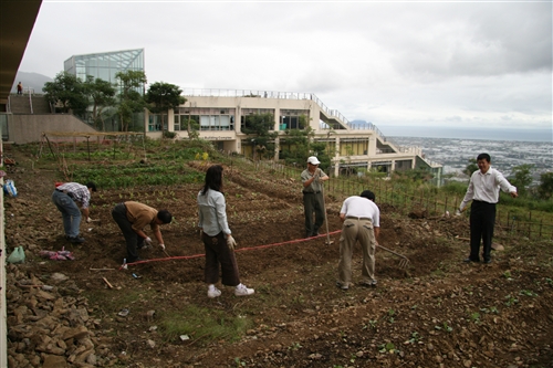 社群網站Facebook的虛擬「開心農場」，帶來了一股種田的風潮，但本校蘭陽校園早已掀起真實版的「種菜」熱潮，師生種得不亦樂乎，既能加菜又能享受種菜樂趣。