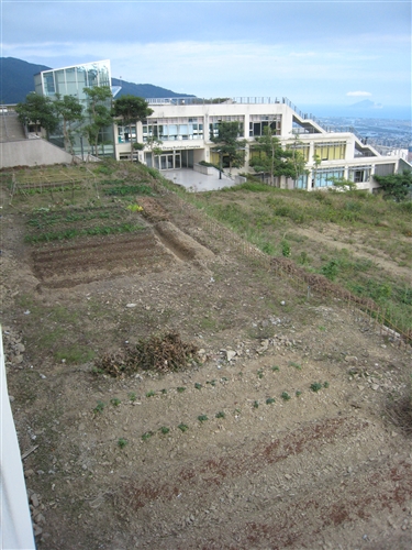 社群網站Facebook的虛擬「開心農場」，帶來了一股種田的風潮，但本校蘭陽校園早已掀起真實版的「種菜」熱潮，師生種得不亦樂乎，既能加菜又能享受種菜樂趣。