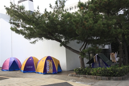 淡江童軍團歡度35週年團慶，本週舉行童軍生活展、團慶大會及譯書出版等活動，讓與會者體驗「修以致和、強健體魄、學習技藝、服務人群」之一生都受益的學分。