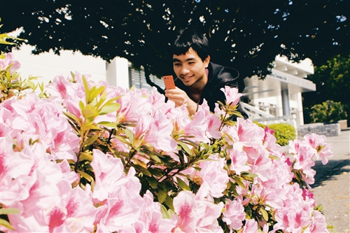 校園裡櫻花已經盛開，杜鵑也陸續開放。