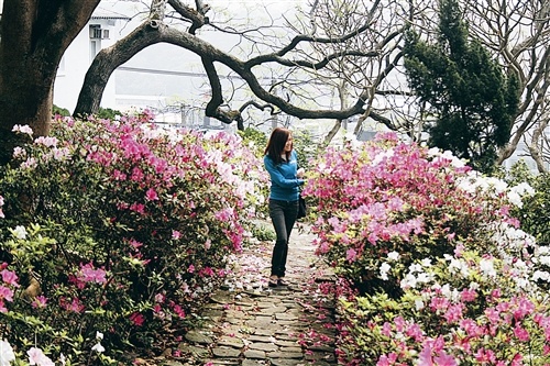 鳥語花香迎校友