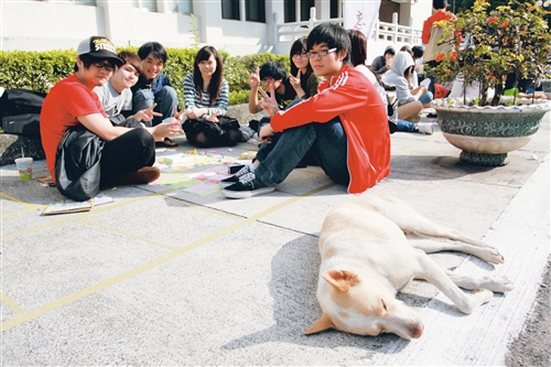 大排長龍 也一定要 忘春瘋