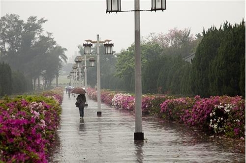 2010「春之饗宴」活動