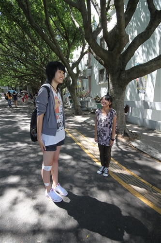 大樹女孩劉美岑：交朋友，身高不是距離！