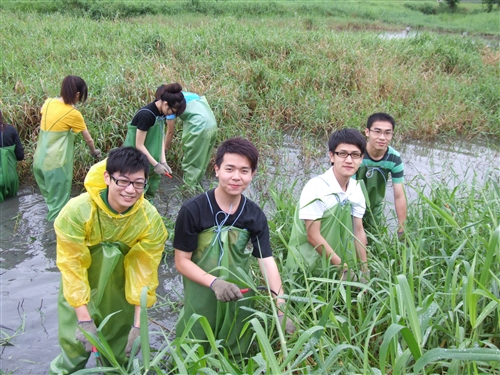 本校260位修習「生態社區建構」課程的同學，日前進行關渡自然公園之志工服務，為國境生態保育付出一己之力，並體驗服務的真諦。