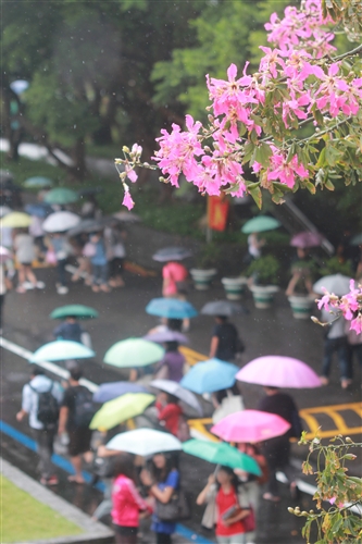 外語聊天室「CHAT CORNER」啟動，提供國際生與本國生語文學習的交流平台。