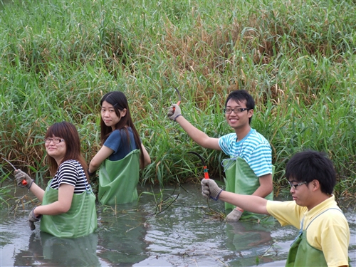 本校260位修習「生態社區建構」課程的同學，日前進行關渡自然公園之志工服務，為國境生態保育付出一己之力，並體驗服務的真諦。