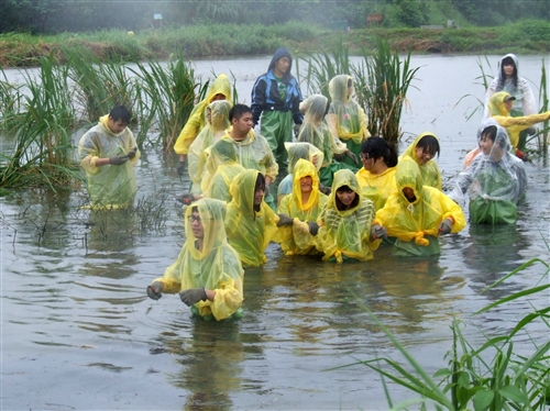 本校260位修習「生態社區建構」課程的同學，日前進行關渡自然公園之志工服務，為國境生態保育付出一己之力，並體驗服務的真諦。