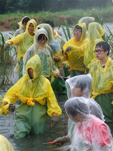 本校260位修習「生態社區建構」課程的同學，日前進行關渡自然公園之志工服務，為國境生態保育付出一己之力，並體驗服務的真諦。
