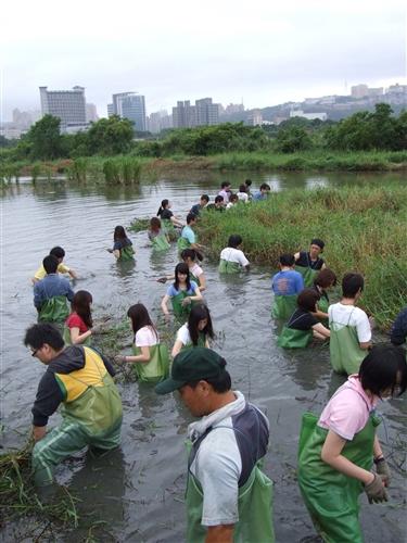 本校260位修習「生態社區建構」課程的同學，日前進行關渡自然公園之志工服務，為國境生態保育付出一己之力，並體驗服務的真諦。