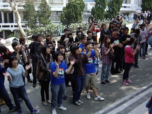 第8屆文化週「帶我去旅行」於本週在淡水校園海報街及黑天鵝展示廳熱鬧登場。