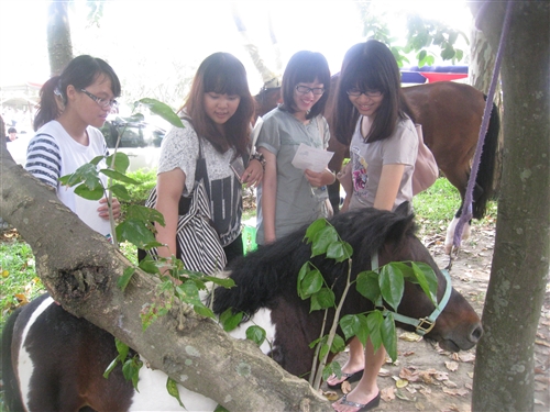 「漾！Young青春」社團博覽會活力展開！