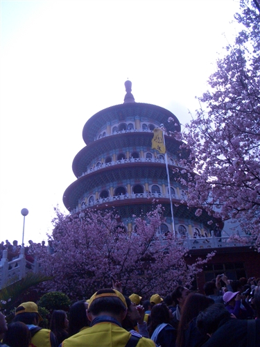 社區服務：支援「淡水天元宮櫻花季」活動。