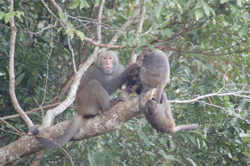 蘭陽校園原住民的生活