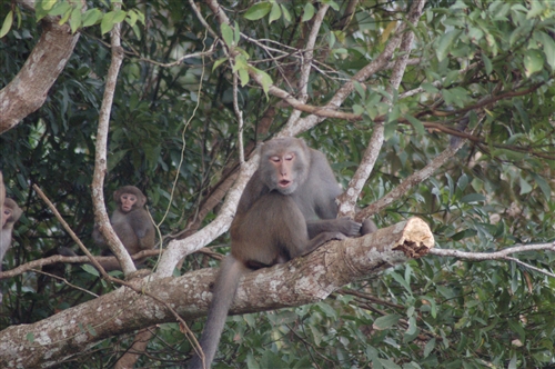 蘭陽校園原住民的生活