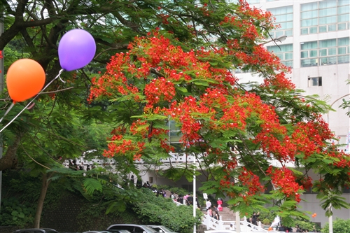 「有品有德　淡江了得」，本校舉行101學年度畢業典禮。