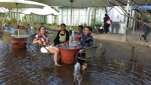 蘭陽校園住宿學院主題活動－生態環境