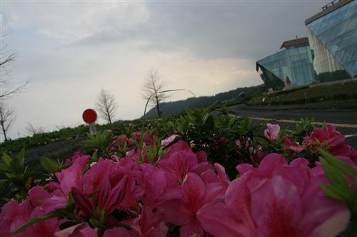 蘭陽校園的春天