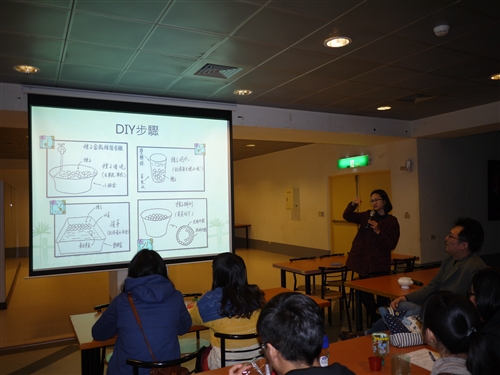 種子森林-手作創意盆栽