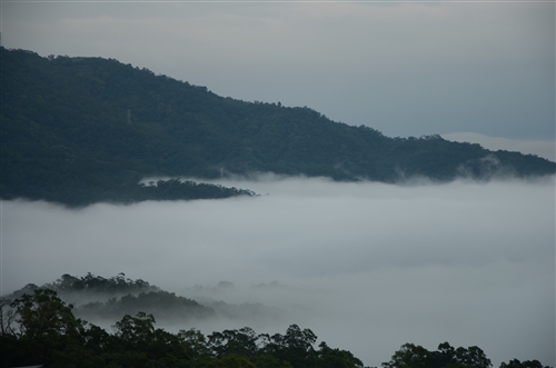 蘭陽校園的雲海