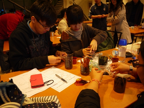 種子森林-手作創意盆栽