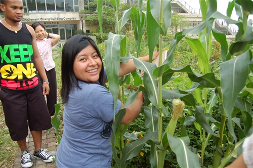 開心農場歡慶收成－看得見的「住宿學院」實質內涵
