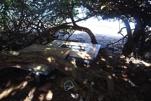 建築學系暑期構築課程，至北淡水興仁溪流域進行社區營造。