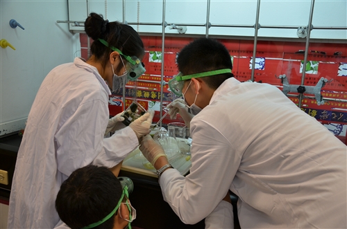 兩岸630名高中生在淡水校園化學競賽。