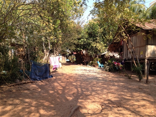 本校海外服務學習團遠至泰北苗疆服務。