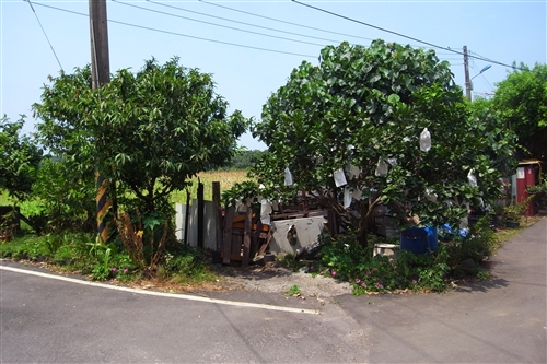 建築學系暑期構築課程，至北淡水興仁溪流域進行社區營造。