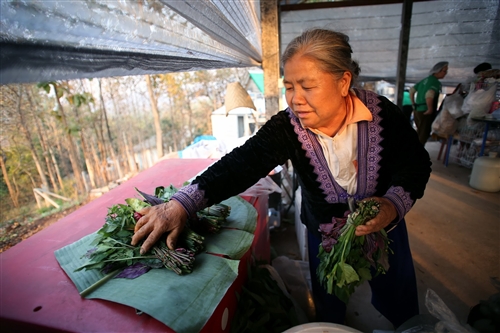本校海外服務學習團遠至泰北苗疆服務。