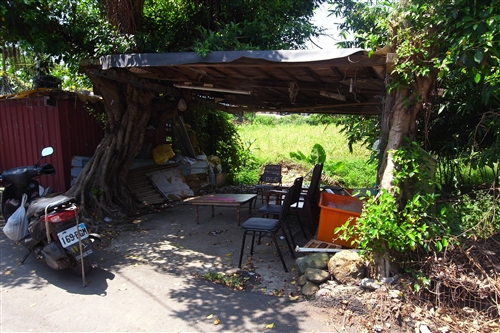 建築學系暑期構築課程，至北淡水興仁溪流域進行社區營造。