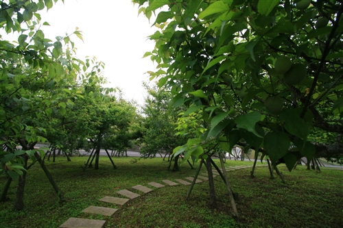 蘭陽校園的春天