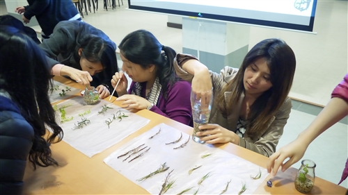 住宿學院生態環境主題活動「生態的縮影＿生態瓶」