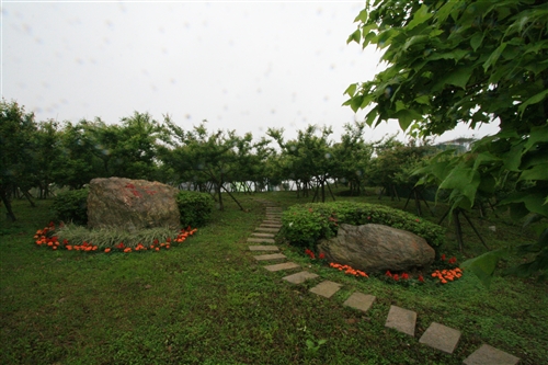 蘭陽校園的春天