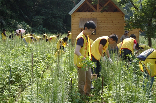 蘭陽校園「品德教育─社區服務」之武荖坑綠色博覽會園區服務